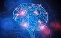 «Διαβάζοντας τη σκέψη» με υπολογιστές: Αποκωδικοποίηση εγκεφαλικών σημάτων στην ταχύτητα της αντίληψης