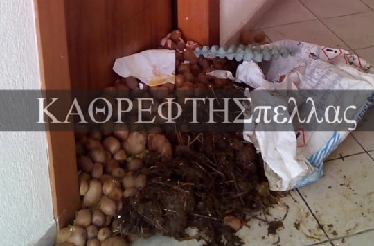 Αγρότες πέταξαν κοπριά σε γραφείο βουλευτή του ΣΥΡΙΖΑ [photo+video] - Φωτογραφία 2