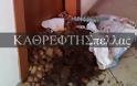 Αγρότες πέταξαν κοπριά σε γραφείο βουλευτή του ΣΥΡΙΖΑ [photo+video] - Φωτογραφία 2