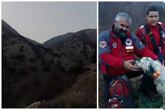 Σκύλος έπεσε σε χαράδρα στην ορεινή Ξάνθη - Σώθηκε από την Ελληνική Ομάδα Διάσωσης [photos]