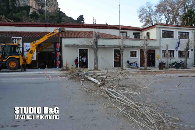 Καθαρισμός της εισόδου του Ναυπλίου από το Δήμο Ναυπλιέων - Φωτογραφία 3