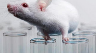 Εκπληκτικό: Ρώσοι επιστήμονες μεταμόσχευσαν τον πρώτο 3D εκτυπωμένο θυρεοειδή σε ποντίκι - Φωτογραφία 1