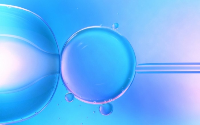Εξωσωματική Γονιμοποίηση: Ο ΕΟΠΥΥ ζητά πλέον πιστοποιητικό από τις τράπεζες σπέρματος - Φωτογραφία 1