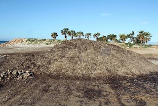 Καθαρισμός παραλίας Γλυφάδας - Φωτογραφία 1