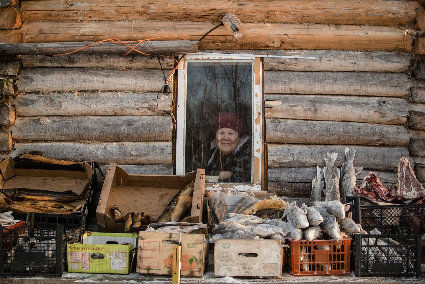 Ποια ασυνήθιστη αγορά «ανθεί» στους κατεψυγμένους βάλτους της Σιβηρίας - Φωτογραφία 3