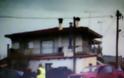 Σύγκρουση ΙΧ αυτοκινήτου με αγροτικό στην Λεπτοκαρυά Τρικάλων [photos] - Φωτογραφία 2