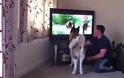 Σκύλος προσπαθεί να πηδήξει στην τηλεόραση για να σώσει αγόρι από αρκούδα [video]