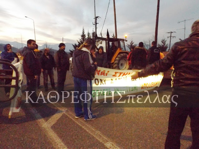 Aπάντηση ΚΟΛΑΦΟΣ των αγροτών προς τον βουλευτή Πέλλας του ΣΥΡΙΖΑ, Γιάννη Σηφακη - Φωτογραφία 2