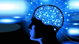 Τι πρέπει να ξέρετε για τον εγκέφαλο του ανθρώπου; - Φωτογραφία 1