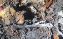Mακάβρια ευρήματα στο νεκροταφείο Λιανοκλαδίου με καμένα οστά... - Φωτογραφία 4