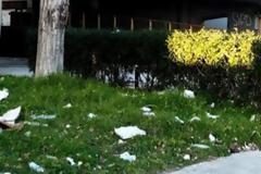Πάτρα: Εξώδικα, προσωπικά στοιχεία, νομικά έγγραφα, κατασχετήρια...σε κοινή θέα - Σκουπιδότοπος ... αλληλογραφίας του Λιμεναρχείου