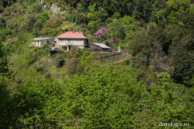 8012 - Στην Αγιοπαυλίτικη Λακκοσκήτη με τον φακό του Silviu Cluci - Φωτογραφία 14