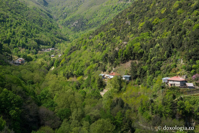 8012 - Στην Αγιοπαυλίτικη Λακκοσκήτη με τον φακό του Silviu Cluci - Φωτογραφία 16