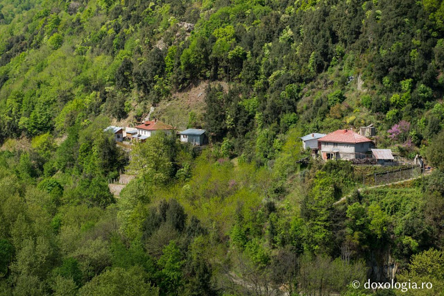 8012 - Στην Αγιοπαυλίτικη Λακκοσκήτη με τον φακό του Silviu Cluci - Φωτογραφία 17