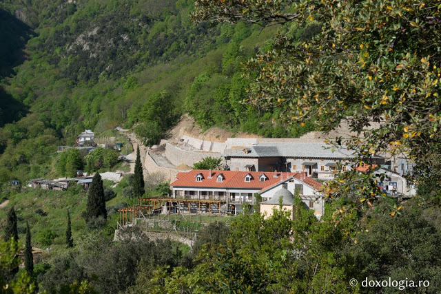 8012 - Στην Αγιοπαυλίτικη Λακκοσκήτη με τον φακό του Silviu Cluci - Φωτογραφία 6