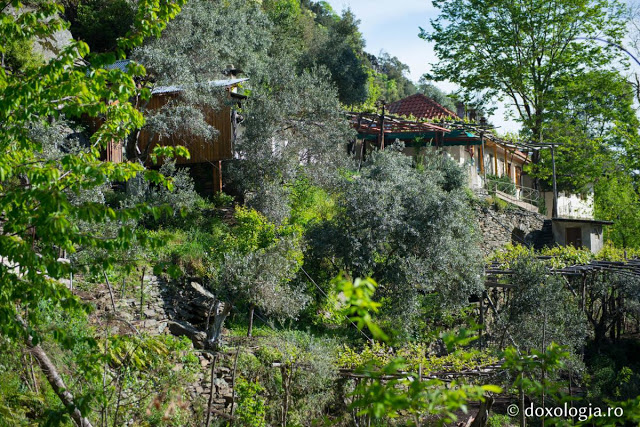 8012 - Στην Αγιοπαυλίτικη Λακκοσκήτη με τον φακό του Silviu Cluci - Φωτογραφία 7