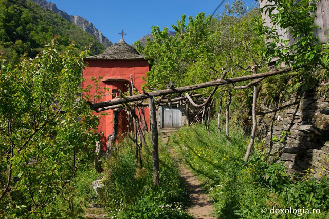 8012 - Στην Αγιοπαυλίτικη Λακκοσκήτη με τον φακό του Silviu Cluci - Φωτογραφία 9