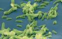 Μικρόβια επιβιώνουν βαθιά στη Γη χωρίς οξυγόνο