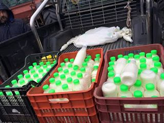Κατάληψη στο Διοικητήριο Ξάνθης από τους αγρότες – Μοίρασαν γάλα και φασόλια - Φωτογραφία 1