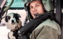 Δείτε το σκυλί που δουλεύει σαν... σκυλί σε αεροδρόμιο του Μίτσιγκαν - Φωτογραφία 4