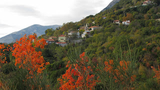 ΒΑΒΟΥΡΙ: Ένα πανέμορφο χωριό στα ελληνοαλβανικά σύνορα, που αργοπεθαίνει! - Φωτογραφία 1