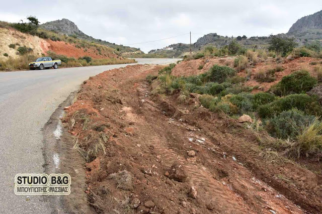 Λάμπει το Ναύπλιο για τον 3ο Μαραθώνιο και τις αποκριάτικες εκδηλώσεις - Φωτογραφία 6