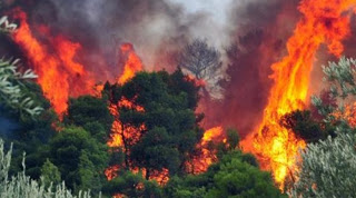 Φωτιά σε δύσβατη περιοχή της Κρήτης... - Φωτογραφία 1