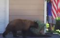 Απίστευτο βίντεο: Τι κάνει ένας άνθρωπος και μια αρκούδα όταν έρχονται... πρόσωπο με πρόσωπο; [video]