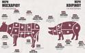 Τα μέρη του κρέατος και πώς τα μαγειρεύουμε! - Φωτογραφία 1