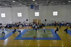 Διασυλλογικό πρωτάθλημα Πελοποννήσου Παγκράτιου αθλήματος