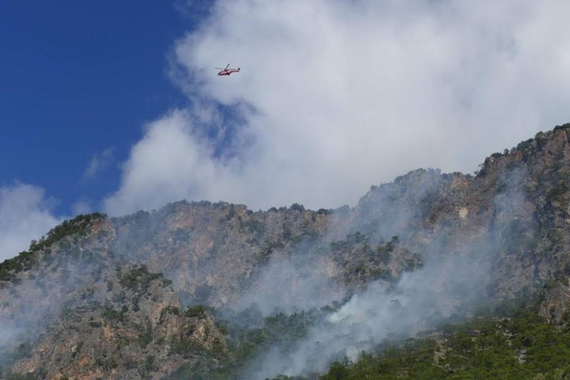 Αποτελεσματική κατάσβεση της φωτιάς στα Σφακιά [photo+video] - Φωτογραφία 2