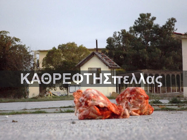 ΑΠΙΣΤΕΥΤΟ: Κεφάλες από χοίρους σε στρατόπεδο της Σκυδρας [ΣΚΛΗΡΕΣ ΕΙΚΟΝΕΣ] - Φωτογραφία 3