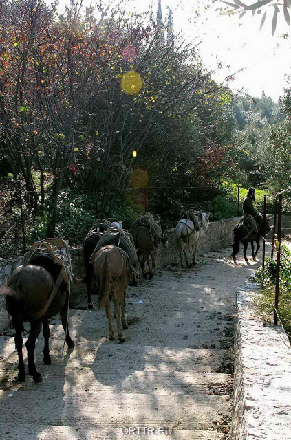 8064 - Αγίου Όρους φωτογραφίες - Φωτογραφία 29