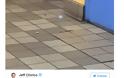 Πελάτης πυροβολεί εργαζόμενο σε εστιατόριο της Φιλαδέλφεια γιατί καθάριζε τα τραπέζια δίπλα του [photos] - Φωτογραφία 3