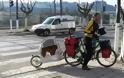 Γρεβενά: Βέλγοι ποδηλάτες με τον… σκύλο τους - Φωτογραφία 1