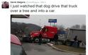Ο σκύλος που… πήρε το τιμόνι και προκάλεσε ζημιές! - Φωτογραφία 2