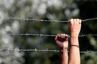 Εσθονία, Λετονία και Λιθουανία υψώνουν φράχτες στα σύνορα με τη Ρωσία για να «προλάβουν» τους πρόσφυγες - Φωτογραφία 1