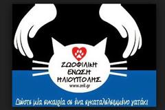 Ζωοφιλική Ένωση Ηλιούπολης: Ανάγκη για Crate και κλουβιά μεταφοράς [photos]