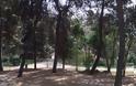 Ζωολογικός Κήπος Θεσσαλονίκης: Πνεύμονας πρασίνου στην καρδιά της πόλης