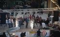 Η Καλαμάτα «έσπασε» το ρεκόρ Guinness στο χορό bachata [photos] - Φωτογραφία 3