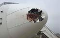 Τραγωδία στον αέρα: Αεροπλάνο συγκρούστηκε με... πουλί και... [photo]