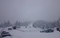ΣΤΟΥΣ 40 πόντους το χιόνι στα Τρίκαλα - Φωτογραφία 1