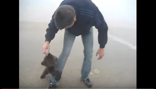 Απίθανο βίντεο: Επίθεση αγάπης από μια μικρή αρκουδίτσα που θα σας συγκινήσει... [video] - Φωτογραφία 1