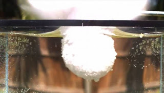 Απίθανο! Τι συμβαίνει όταν βάζεις λιωμένο αλάτι σε νερό; [video] - Φωτογραφία 1