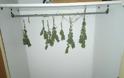 Εντοπίστηκε εργαστήριο καλλιέργειας κάνναβης, σε οικία στο Καρλόβασι της Σάμου - Φωτογραφία 4