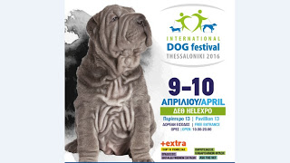 Για τους λάτρεις των σκύλων... Το International Dog Festival στην Θεσσαλονίκη [photos] - Φωτογραφία 1