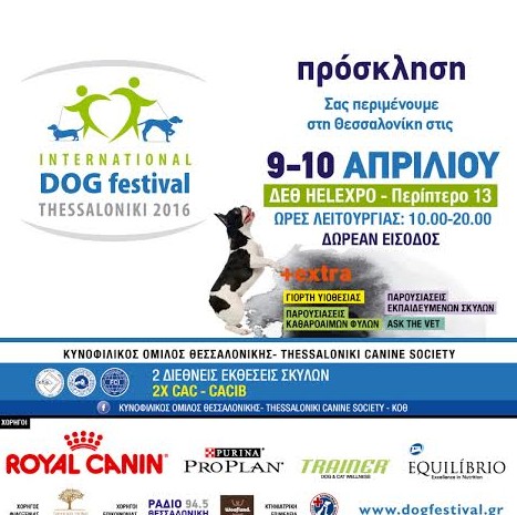 Για τους λάτρεις των σκύλων... Το International Dog Festival στην Θεσσαλονίκη [photos] - Φωτογραφία 5