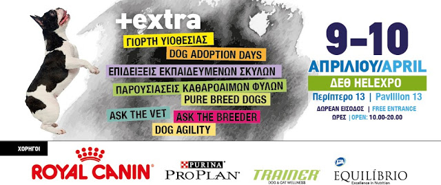 Για τους λάτρεις των σκύλων... Το International Dog Festival στην Θεσσαλονίκη [photos] - Φωτογραφία 6