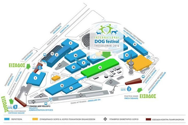 Για τους λάτρεις των σκύλων... Το International Dog Festival στην Θεσσαλονίκη [photos] - Φωτογραφία 7