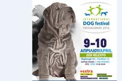 Για τους λάτρεις των σκύλων... Το International Dog Festival στην Θεσσαλονίκη [photos]